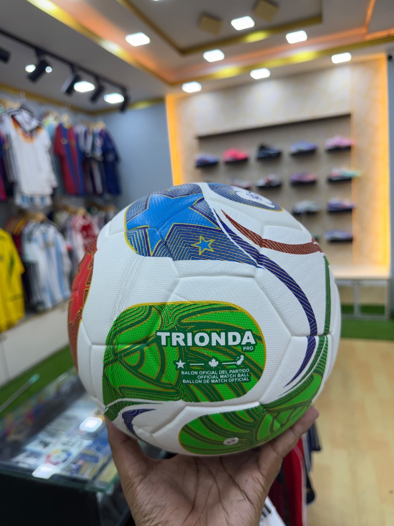 Trionda 26 wc budget friendly